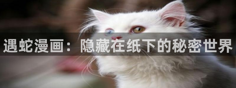 白日梦我快看漫画